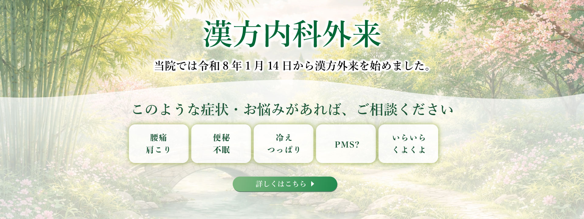 漢方内科外来　特設サイト
